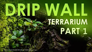 How I Built the Drip-Wall Terrarium 10G  - Part 1