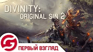 Идеальная RPG? - Первый взгляд на Divinity: Original Sin 2