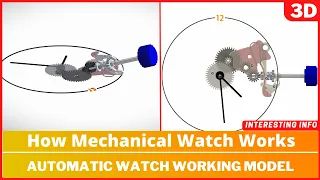 How Mechanical Watch Works || Automatic Watch Working Model ||  Working Animation