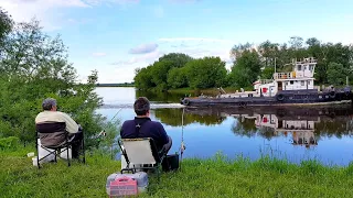 Вот и Первые Лещи на Днепре. Рыбалка с Ночевкой в Любимом Месте. Мощные Поклевки. Лещ на Фидер.