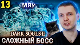 САМЫЙ СИЛЬНЫЙ БОСС КОТИК? МЯУ! / Папич Проходит Dark Souls 2 (часть 13)