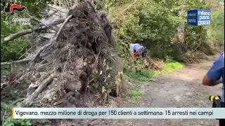 Vigevano, mezzo milione di droga per 150 clienti a settimana: 15 in manette nei campi