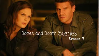 Bones & Booth Scenes (season 7) [1080p/logoless]