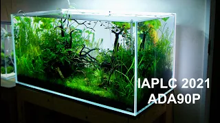 IAPLC 2021 Making a Classical Nature Aquarium Style Aquascape in ADA 90P