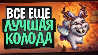 ЛУЧШИЙ ФЕЙС ОХОТНИК! 🏹 ЛЕГЕНДА В РУКАХ! Некроситет! Hearthstone!