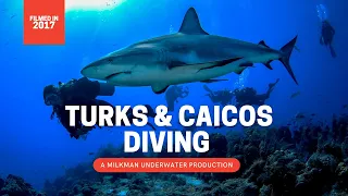 Turks & Caicos Diving