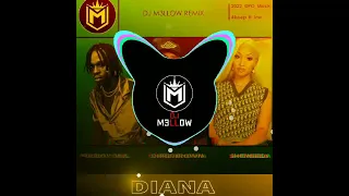 DIANA_-_Fireboy_Chris Brown_Shanseea (DJ M3LLOW REMIX) 2022