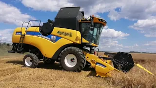 Jęczmień ozimy 2020 / New Holland T7.210 / New Holland CX5.80 / Pronar