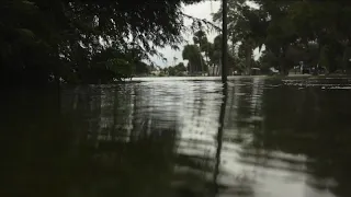 How a Crystal River resident survived the storm and snakes