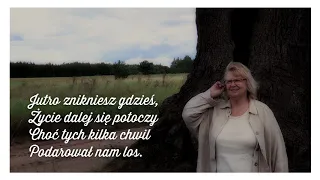 Stanisława Celińska - Już nie trzeba mi (official lyric video)