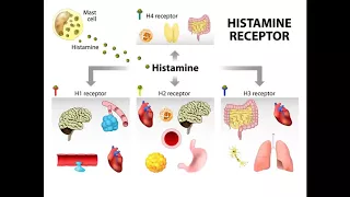 Managing histamine intolerance
