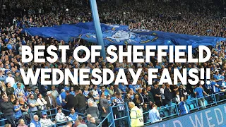 THE BEST OF SHEFFIELD WEDNESDAY FANS!!