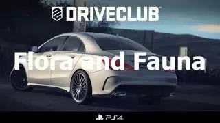 DRIVECLUB Facts Part 1