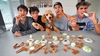 DOG vs HUMAN FOOD CHALLENGE!