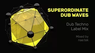 Superordinate Dub Waves | Dub Techno Label Mixed by nae:tek