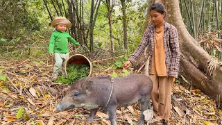 Life of a 17-Year-Old Single Mother - Unlucky Wild Boar Harvesting Wild Vegetables to sell, ly tu ca