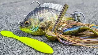 5 Sight Fishing Mistakes You Need To Avoid! (Spring Bass Fishing)