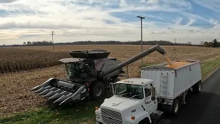 Harvest 2021 Chasing - Windy - Not Your Deere - My First Gleaner S96  #harvestchaser