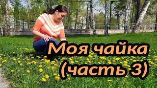 Моя чайка (часть3)