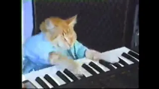 Keyboard Cat 1 Hour (but its only the first part)