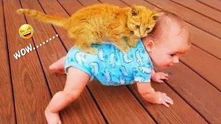 Funny ANIMALS videos😊 Funniest CATS😹 and DOGS🐶 2024