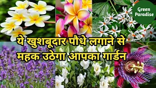 ये खुशबूदार पौधे लगाने से महक उठेगा आपका गार्डन 🌹Scented Flowering Plants