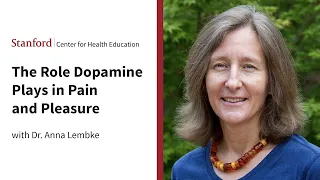 The Role Dopamine Plays in Pain and Pleasure | SCHE