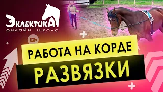 Работа лошади на корде. Развязки. Конный спорт