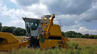 1997 Sampo 2010 trials Combine Harvesting OSR Trial Plots