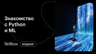 Как провести машинное обучение на Python? Интенсив по ИИ в играх