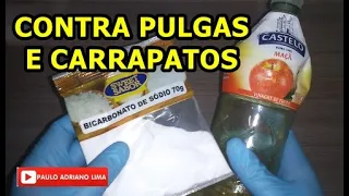 ELIMINAR PULGAS E CARRAPATOS DE CÃES E GATOS