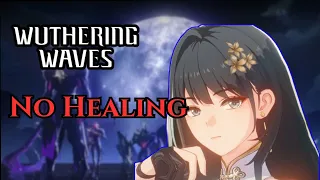 Can You Beat Wuthering Waves WITHOUT Healing??!!