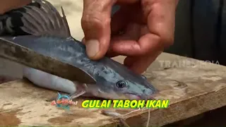 GULAI TABOH IKAN | JEJAK SI GUNDUL (19/03/21)