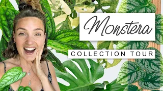 Monstera Collection Tour 🪴 Types Of Monstera In My Collection