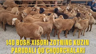 YANGI XISORINING KUZIN PARODALI QO'CHQORCHALARI SOTILADI TEL:+998945393939