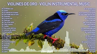 VIOLINES DE ORO - VIOLIN INSTRUMENTAL MUSIC - VIOLIN OLD MUSIC.
