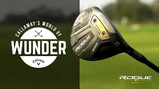 Fast ball down the middle fairway wood | 2022 Rogue ST Max Fairway Wood