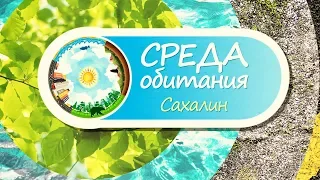 Среда обитания. Программа от 02.12.19