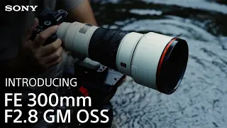 Introducing the Sony FE 300mm F2.8 GM OSS Lens