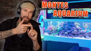 Meeresbiologe über MontanaBlacks Aquarium und dessen Folgen..