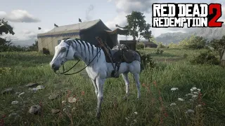 САМАЯ ЛУЧШАЯ ЛОШАДЬ в Red Dead Redemption 2