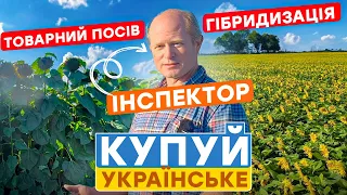 Огляд посівного матеріалу на 2023-2024 рік. Купуй Українське #Саксон #Альфа #Берекет