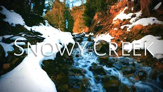 Snowy Creek w/ Bird Sounds | 3 Hour Loop For Sleep, Study, Relaxation