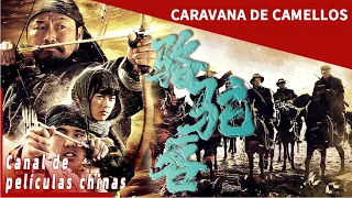 En la batalla de flechas y armas, ¿quién será el ganador final? | caravana de camellos