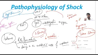 Pathophysiology of Shock |Concept of Occult Hypoperfusion |Chapter2 Bailey and Love|MRCS|GS Lectures