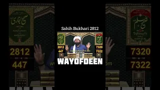 Sahih Bukhari 2812 Anti venom for Nasbis!! Engineer Muhammad Ali Mirza