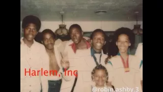The Harlem 70's Experience