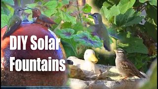 Ideas How to Attract Birds to Garden Solar Powered Water Fountain Setup DIY Bird Bath & Hummingbirds