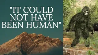 The Historic Bigfoot Encounter You've Never Heard Of - The Wildman of Crow Canyon - MBM 117