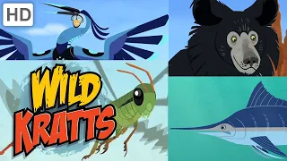 Wild Kratts 🐻🐟 New Creature Adventures! (Part 3) 🦗 | Kids Videos